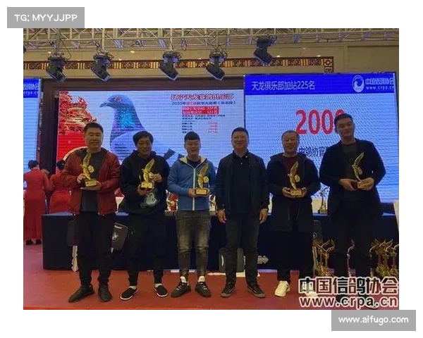 天龙杯赛事直播;天龙杯信鸽脚号查询
